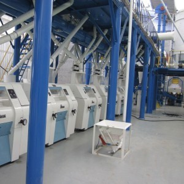 6FYDT-100 Maize Flour Mill Plant